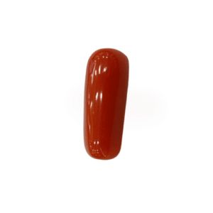 Natural  Red Coral | Certified  | Oval Cut  Gemstone Summary No. IGCDKBAJ44921