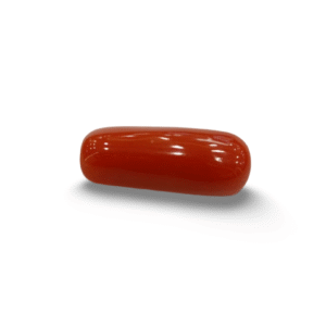 Natural  Red Coral | Certified  | Oval Cut  Gemstone Summary No. IGCDKBAJ44921