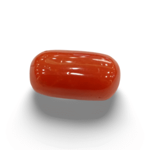 Natural  Red Coral | Certified  |Oval Cut  Gemstone Summary No. IGCDKBAJ44729