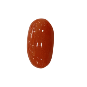 Natural  Red Coral | Certified  | Oval Cut  Gemstone Summary No. IGCDKBAJ44880