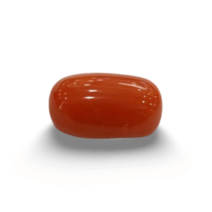Natural  Red Coral | Certified  | Oval Cut  Gemstone Summary No. IGCDKBAJ44943
