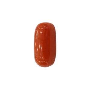 Natural  Red Coral | Certified  | Oval Cut  Gemstone Summary No. IGCDKBAJ44923