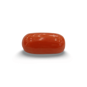 Natural  Red Coral | Certified  | Oval Cut  Gemstone Summary No. IGCDKBAJ44923