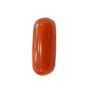 Natural  Red Coral | Certified  | Oval Cut  Gemstone Summary No. IGCDKBAJ44930