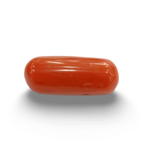 Natural  Red Coral | Certified  | Oval Cut  Gemstone Summary No. IGCDKBAJ44930