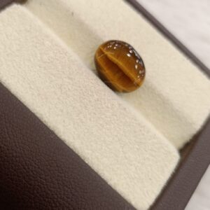 Tiger Eye The Essence of Grounding and Strength Summary No IGCDKBAJ44763